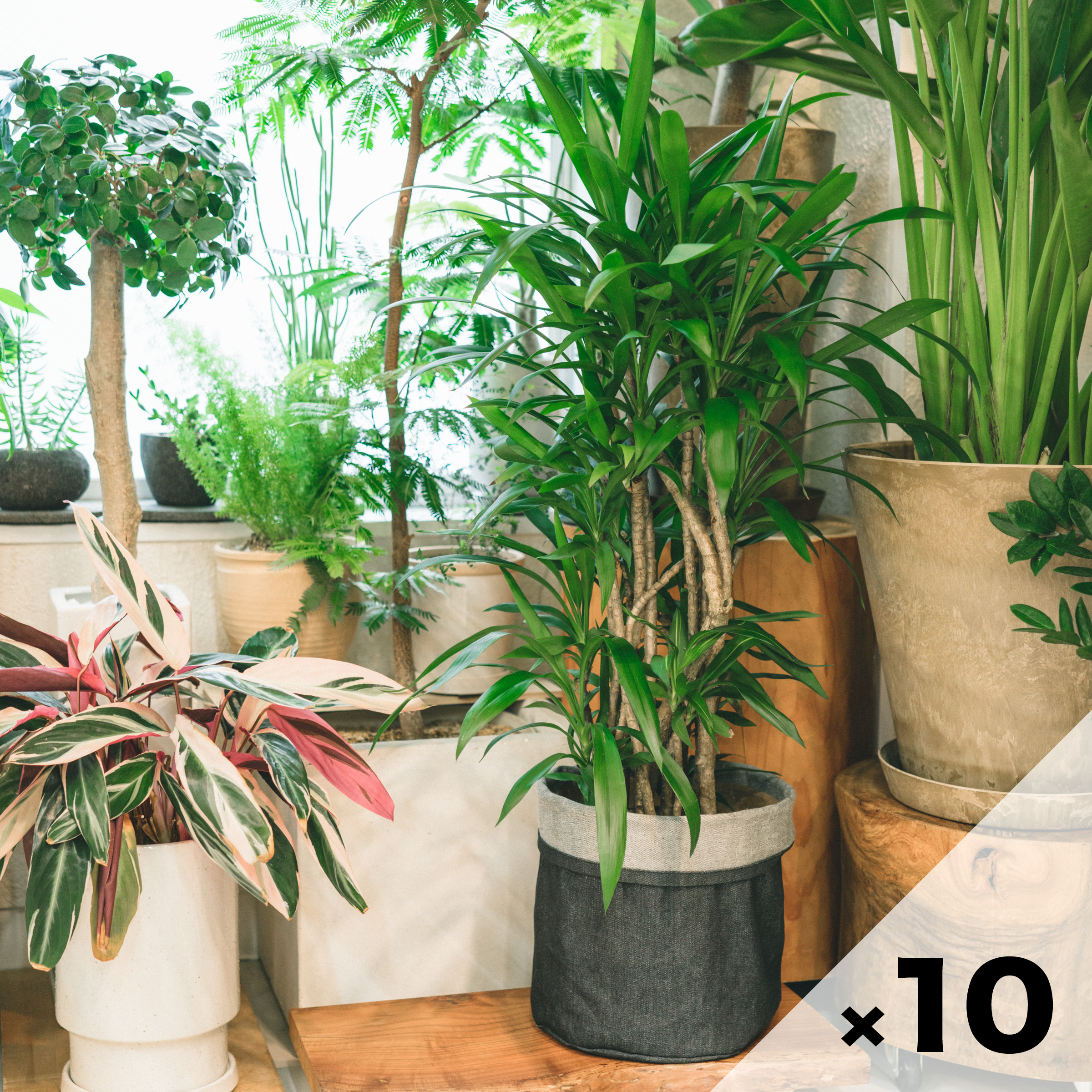 Order デニム鉢カバー 1セット 数量10 ８号用サイズ 京都デニム